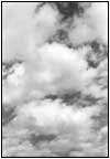 雲11