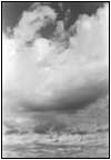 雲14