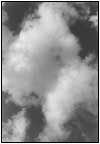 雲17