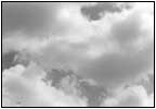 雲19