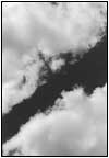 雲20