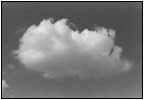 雲24