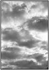 雲26