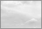 雲5