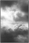 雲8