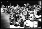 RenegadesSteelDrum
